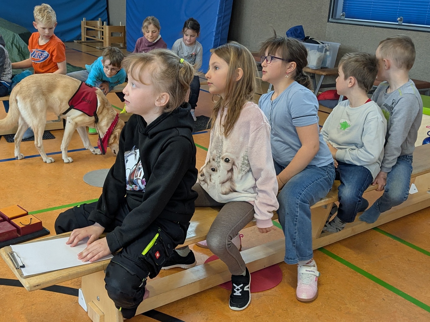 Klasse 1/2c - Teamtraining