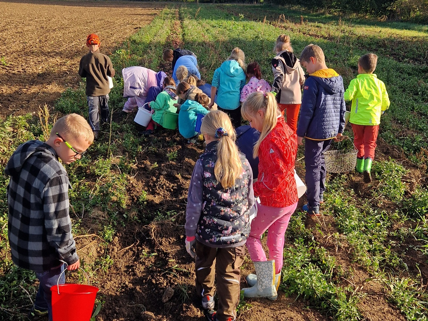 Klasse 1/2a - Wandertag